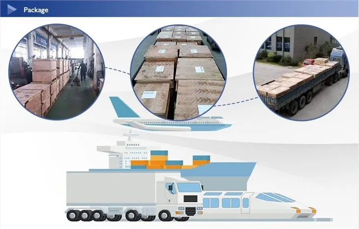 Stainless Steel Weld Neck Flange